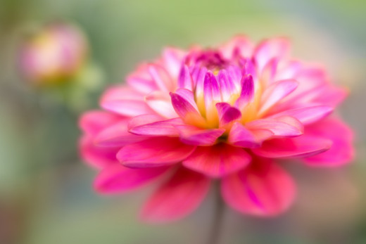 1574975 (a): :2560x1706